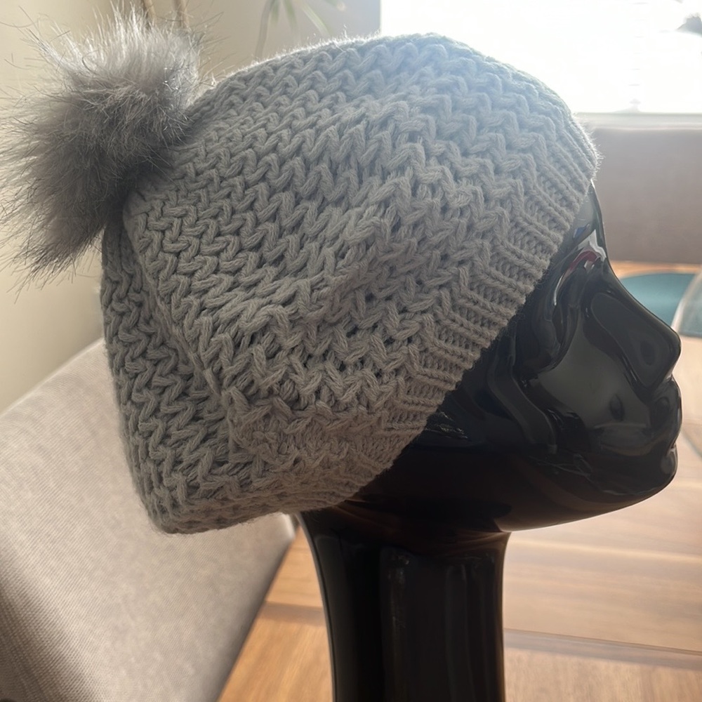 NWOT Winter hat 
Silver
One Size
#455A